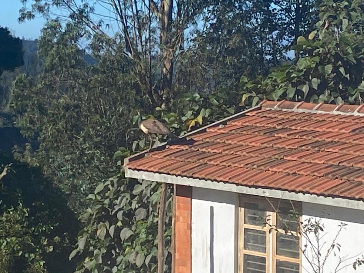 Kanjira House Ooty Eksteriør billede