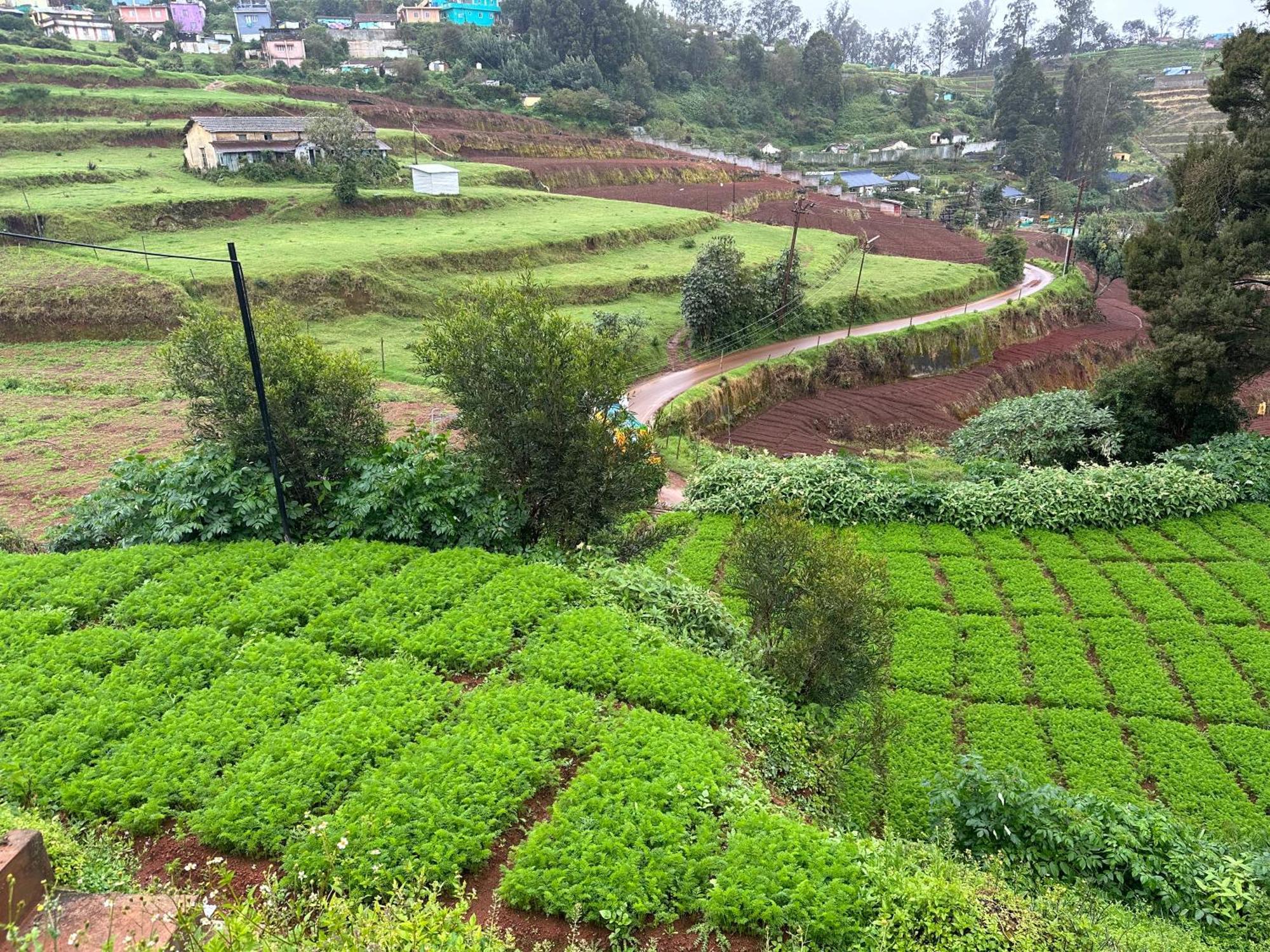 Kanjira House Ooty Eksteriør billede